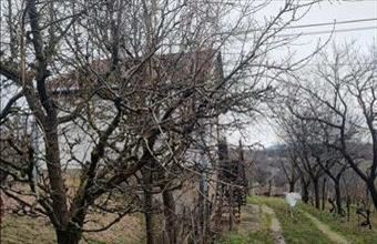 Eladó Zalaszentlászlói hétvégi ház hirdetés (95859644)