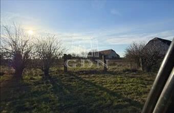 Eladó Sárbogárdi termőföld, szántó hirdetés (46364423)