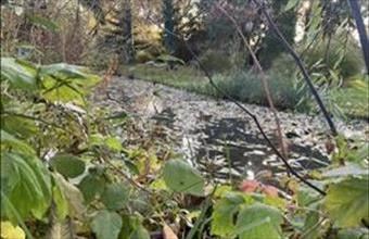 Eladó Gyulai egyéb telek hirdetés (33755375)