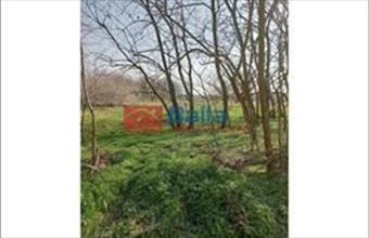 Eladó Tököli egyéb telek hirdetés (52453782)