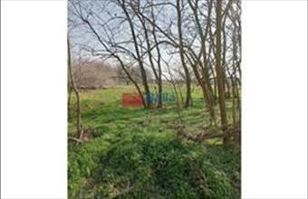 Eladó Tököli egyéb telek hirdetés (52453782)