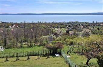 Eladó Balatonszepezdi hétvégi ház hirdetés (27945737)