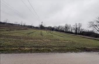 Eladó Baracskai egyéb mezőgazdasági ingatlan hirdetés (63435973)