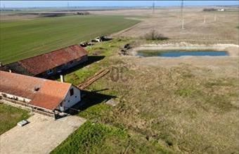 Eladó Tiszaalpári tanya hirdetés (44148535)