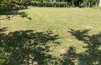 Eladó Ábrahámhegyi lakóövezeti telek hirdetés (47396928)