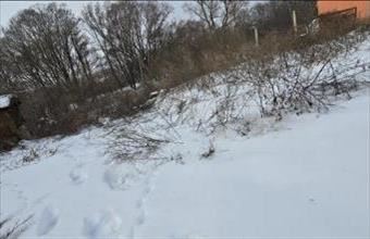 Eladó Pamuki lakóövezeti telek hirdetés (62633983)