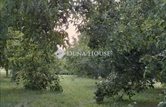 Eladó Ádándi külterületi telek hirdetés (49114898)