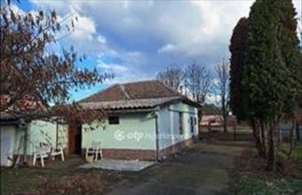 Eladó Mezőkovácsházai családi ház hirdetés (99142482)