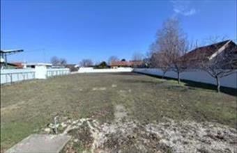 Kiadó Dabasi egyéb telek hirdetés (52536459)