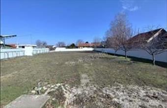 Kiadó Dabasi egyéb telek hirdetés (52536459)