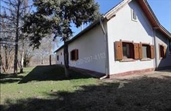 Eladó Domaszéki tanya hirdetés (31175555)