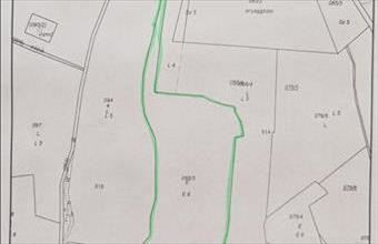 Eladó Ipolytarnóci erdő hirdetés (76391397)