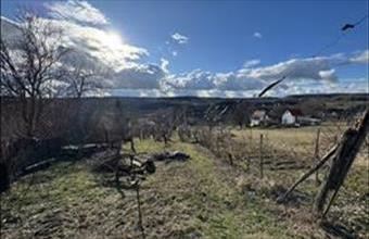 Eladó Szekszárdi egyéb mezőgazdasági ingatlan hirdetés (21376338)