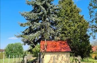 Eladó Paksi lakóövezeti telek hirdetés (42763359)