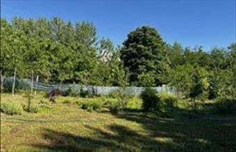 Eladó Tóalmási külterületi telek hirdetés (75391493)