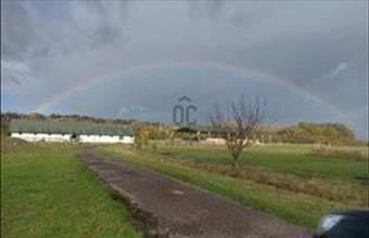 Eladó Tiszacsegei egyéb mezőgazdasági ingatlan hirdetés (48246734)