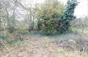 Eladó Szombathelyi egyéb mezőgazdasági ingatlan hirdetés (35798726)