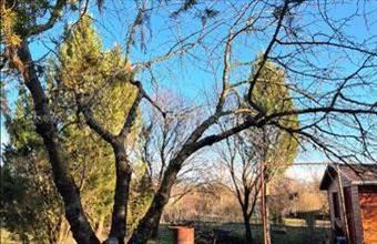 Eladó Besenyszögi egyéb mezőgazdasági ingatlan hirdetés (97489543)