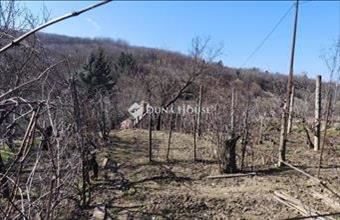 Eladó Pellérdi külterületi telek hirdetés (54743347)