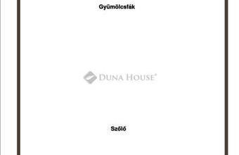 Eladó Pellérdi külterületi telek hirdetés (22348233)