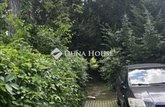 Eladó Leányfalui családi ház hirdetés (64938352)