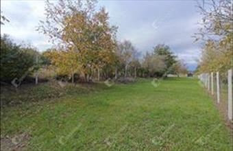 Eladó Soproni lakóövezeti telek hirdetés (25372648)