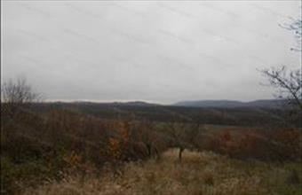 Eladó Sümegi zártkert hirdetés (47774268)