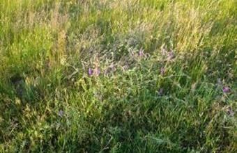 Eladó Dabasi egyéb telek hirdetés (93364447)