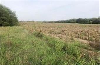 Eladó Alsónémedi egyéb ipari ingatlan hirdetés (92473746)