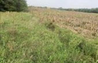 Eladó Alsónémedi egyéb ipari ingatlan hirdetés (59227252)