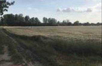 Eladó Monori egyéb ipari ingatlan hirdetés (99548236)