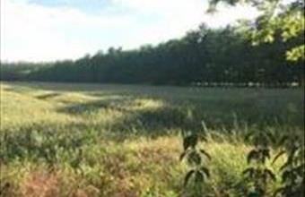 Eladó Péteri termőföld, szántó hirdetés (73362367)