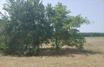 Eladó Táborfalvai egyéb telek hirdetés (96983923)