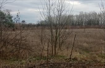 Eladó Csemői termőföld, szántó hirdetés (37493377)