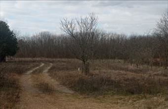 Eladó Csemői termőföld, szántó hirdetés (72223942)