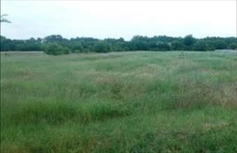 Eladó Dabasi egyéb telek hirdetés (36344384)