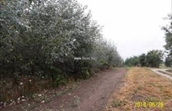 Eladó Kakucsi termőföld, szántó hirdetés (33954435)