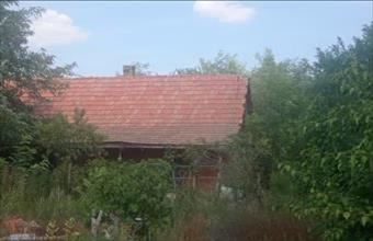 Eladó Dabasi termőföld, szántó hirdetés (23332213)