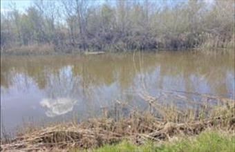 Eladó Alsónémedi termőföld, szántó hirdetés (24422347)