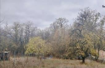 Eladó Dabasi egyéb telek hirdetés (47773723)