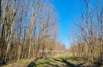 Eladó Inkei egyéb mezőgazdasági ingatlan hirdetés (41725481)