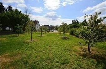 Eladó Pusztazámori lakóövezeti telek hirdetés (92369554)