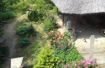 Eladó Dobai családi ház hirdetés (93483446)