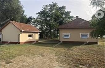 Eladó Tiszaalpári tanya hirdetés (74572343)