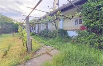 Eladó Nyírbogdányi családi ház hirdetés (36677362)