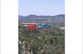 Eladó Törökbálinti egyéb telek hirdetés (83734745)