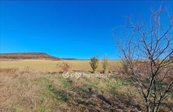 Eladó Pilisborosjenői lakóövezeti telek hirdetés (23745724)