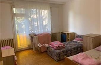 Kiadó Nyíregyházai családi ház hirdetés (57339433)