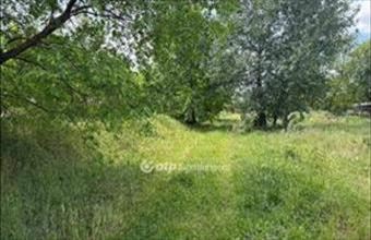 Eladó Újfehértói lakóövezeti telek hirdetés (34947293)