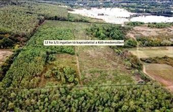 Eladó Balatonrendesi erdő hirdetés (23447684)